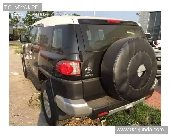 杭州羽毛球队在洲际杯积分榜中以51分稳居第一名展现强劲实力