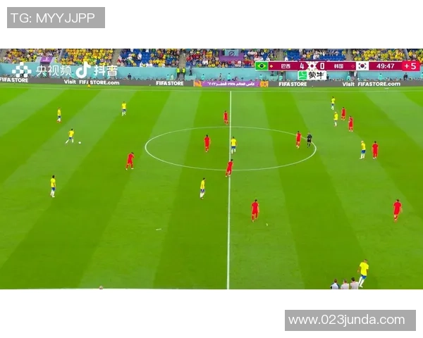 独家深度解析西安排球队球员个人能力对比与战术影响